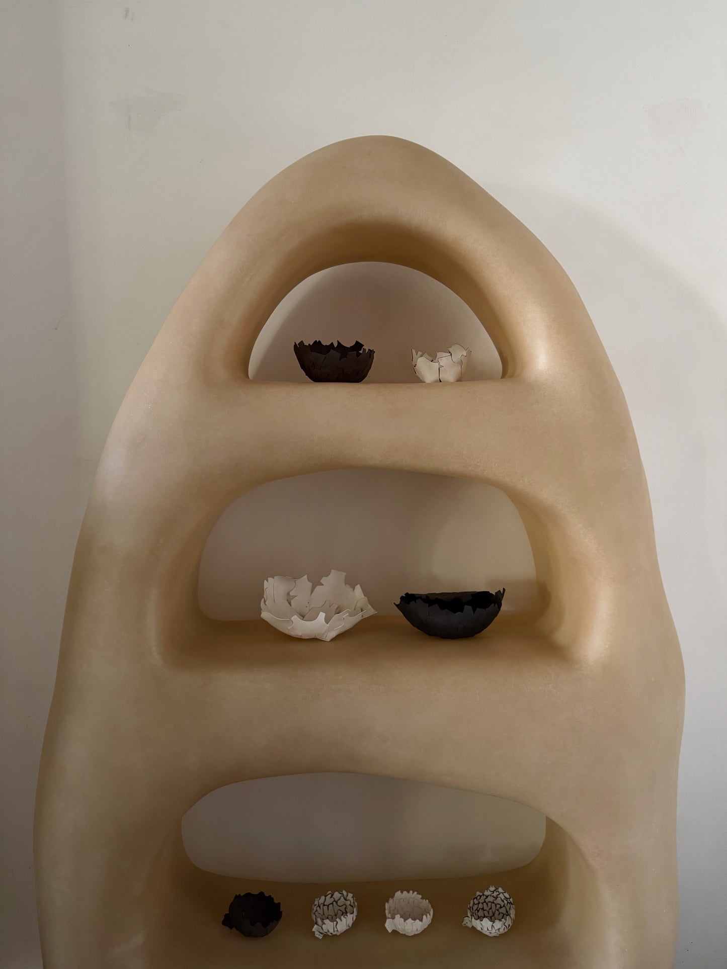 Cave Shelf